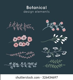 Hand drawn decorative vector botanical borders for frames, postcards and design. Laurels, borders, ornaments. 