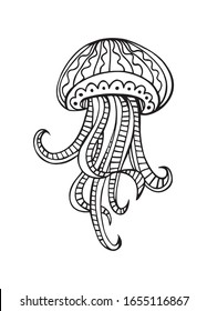 Hand drawn decorative vector illustration of jellyfish. Doodle style illustration.