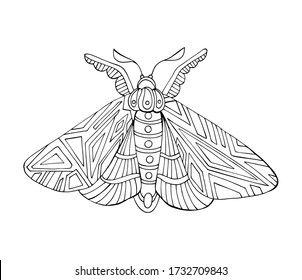 Hand drawn decorative vector illustration of moth. Isolated on white. Butterfly coloring book Doodle style illustration.