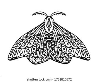 Hand drawn decorative vector illustration coloring moth. Isolated on white. Butterfly coloring Doodle style illustration. Coloring page for adults and teens. Cute insect tattoo line art.