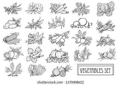 Hand drawn decorative vegetables set, design elements. Can be used for cards, invitations, scrapbooking, print, manufacturing. Food, kitchen theme. Line art style