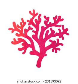 hand drawn decorative watercolor coral 