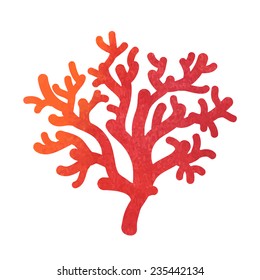 hand drawn decorative watercolor coral