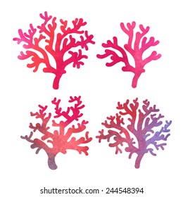 hand drawn decorative watercolor coral