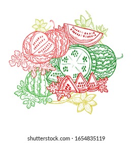 Hand drawn decorative watermelon fruits, design elements. Can be used for cards, invitations, scrapbooking, print, manufacturing. Food, kitchen theme