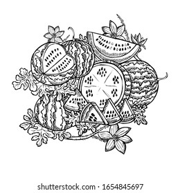 Hand drawn decorative watermelon fruits, design elements. Can be used for cards, invitations, scrapbooking, print, manufacturing. Food, kitchen theme
