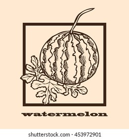Hand drawn decorative watermelons, design elements. Can be used for cards, invitations, scrapbooking, print, manufacturing. Fruit theme. Fruit sketch