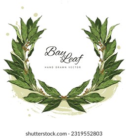 Hand drawn decorative wreath of bay leaves sketch style, vector illustration isolated on white background. Colorful design element, natural organic plant, aromatic culinary spice
