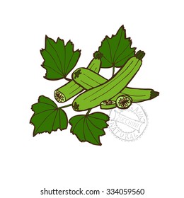Hand drawn decorative zucchini, design elements. Can be used for cards, invitations, gift wrap, print, scrapbooking. Kitchen theme