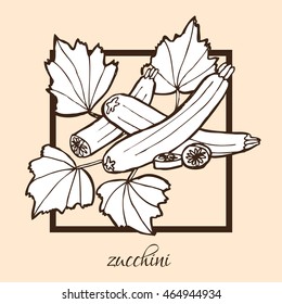 Hand drawn decorative zucchini, design elements. Can be used for cards, invitations, gift wrap, print, scrapbooking, food menu, labels. Vegetable background. Food theme