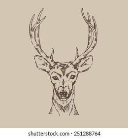 Hand drawn deer 