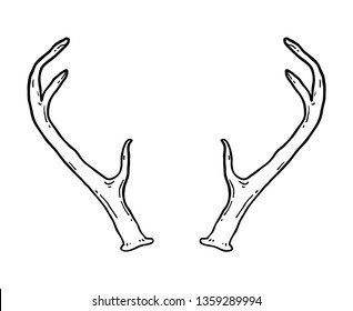 Hand drawn deer antlers. Magic vintage contour vector illustration in black isolated over white. Spiritual art, yoga, boho style, nature and wilderness.