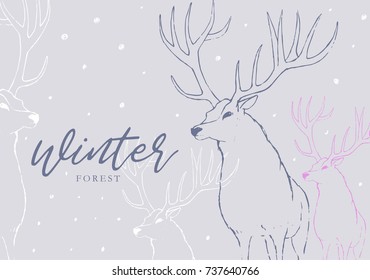 Hand drawn deer card template for season's greetings. 