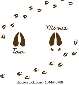 Hand drawn deer and moose footprints. vector illustration.