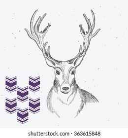 Hand drawn deer on light background