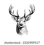 Hand drawn Deer sketch vector illustration