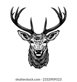 Hand drawn Deer sketch vector illustration