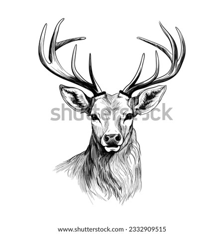Hand drawn Deer sketch vector illustration