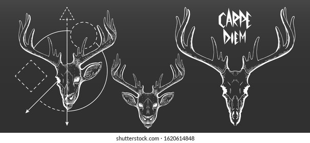 Hand Drawn, deer skull, and face silhouette. Vintage deer head vector illustration, scratchboard, engraving, white ink, line art drawing style with geometric shapes and Carpe Diem slogan