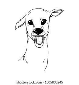 hand drawn deer vector illustration