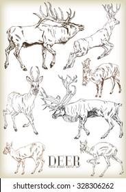 Hand drawn deer vector set