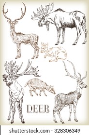 Hand drawn deer vector set