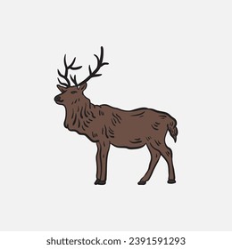 Hand drawn deer vintage illustration