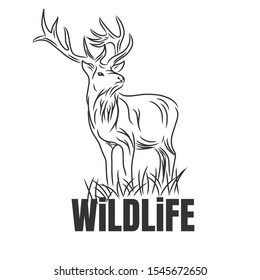Hand drawn deer with wildlife text isolated on a white backgrounds. Design element. Vector illustration, Creative idea of a wild animal icon.