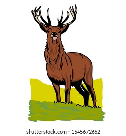 Hand drawn deer with wildlife text isolated on a white backgrounds. Design element. Vector illustration, Creative idea of a wild animal icon.