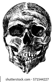 Hand Drawn Deformed Skull With Cleft Chin, Vector Illustration. Isolated On White Background.