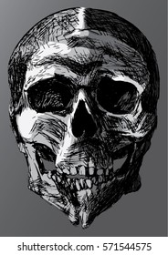 Hand Drawn Deformed Skull With Cleft Chin, Grayscale Colored Vector Illustration. Isolated Dark Background.