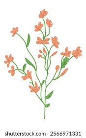 hand drawn delicate flowers, orange flower arrangement vector drawing EPS 10