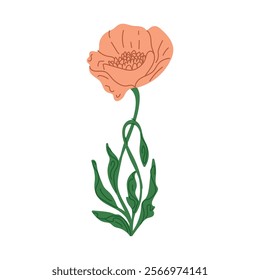 hand drawn delicate flowers, orange flower arrangement vector drawing EPS 10