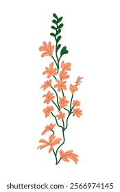 hand drawn delicate flowers, orange flower arrangement vector drawing EPS 10