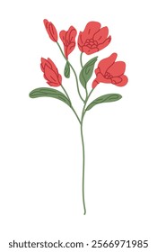 
hand drawn delicate flowers, red flower arrangement vector drawing EPS 10