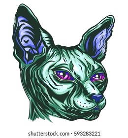 Hand drawn demonic cat breed Sphinx. Hairless naked cat. Portrait of a Sphinx cat with red eyes, isolated on whitet background, Graphic  vector illustration.