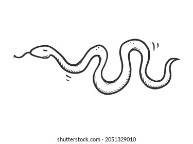 Hand drawn desert snake serpent pose. Doodle sketch style. Drawing line simple snake icon. Isolated vector illustration.