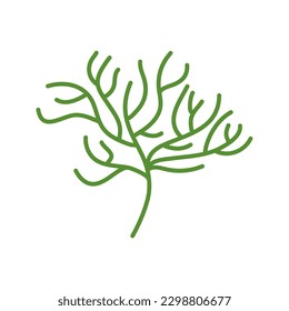 hand drawn design botanical illustration
