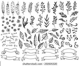 Hand drawn design elements, feathers, leaves, banners, scrolls, swirls and flowers