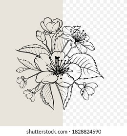 Elementos de diseño dibujados a mano colección de flores sakura