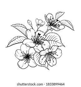 248 Black AND White Flower Boquet Images, Stock Photos & Vectors ...