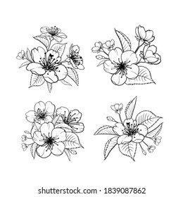 Hand drawn design elements sakura flowers collection