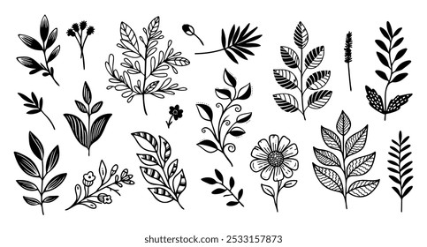 Elementos florales de diseño dibujado a mano