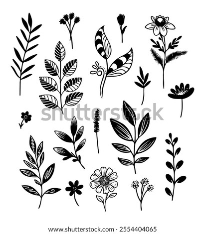 Hand drawn design floral elements