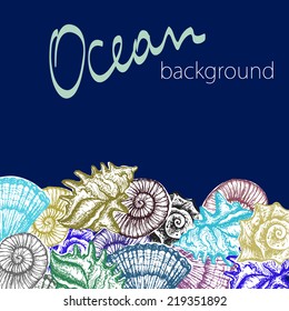 hand drawn design set and background for banner, card of beautiful colorful stylish sea shells - bright colors vector illustration