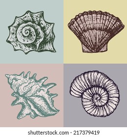 hand drawn design set and of beautiful retro style sea shells - vintage vector illustration