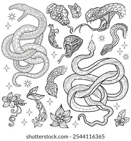 Hand drawn design set with snake - symbol of the year according to eastern horoscope and flowers. Line art vector illustrations. Doodle artworks with esoteric, gothic and mystic concept