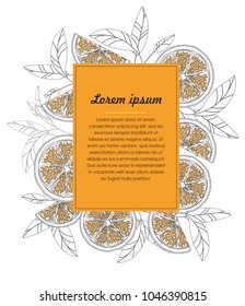 Hand drawn design template with orange isolated on white background. Vector illustration