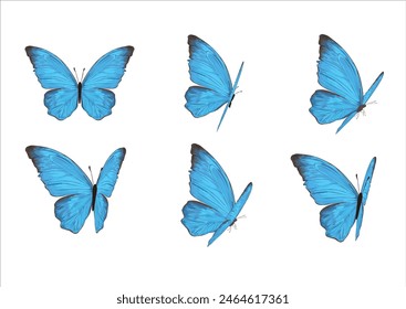 conjunto de mariposa azul dibujado a mano Vector de diseño