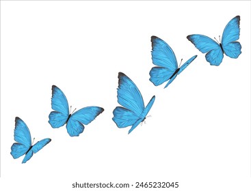 diseño de mariposa azul dibujado a mano